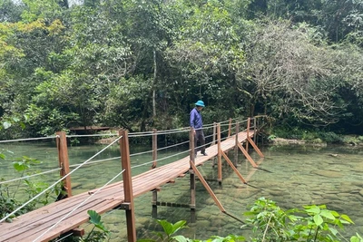 Tạo tiền lệ cho du lịch... chui?