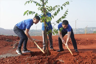 Chung tay vì một Đắk Nông xanh