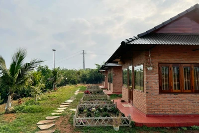 Farmstay vi phạm trong xây dựng: Tìm hướng xử lý hài hòa