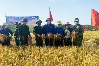 Người Jrai xã biên giới Ia Púch "bén duyên" lúa nước