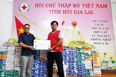 Gia Lai tiếp nhận 1.100 thùng sữa dinh dưỡng Nutifood