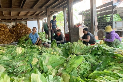 Ia Peng phát huy vai trò kinh tế tập thể