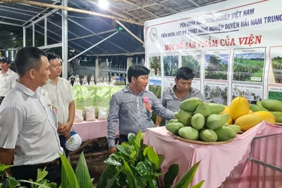 Khai mạc Ngày hội Nông sản huyện Hoài Ân, Bình Định