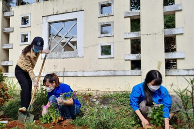 Tuổi trẻ Gia Lai ra quân "Ngày chủ nhật xanh"