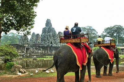 Campuchia cấm du khách cưỡi voi ở Angkor