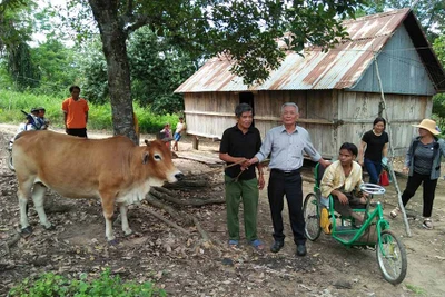 Tạo sinh kế cho người khuyết tật vùng sâu Gia Lai