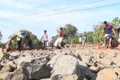 Dân làng Ngo Le hiến đất, góp công làm đường