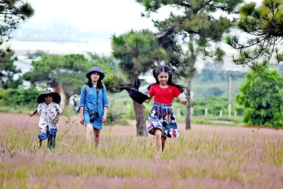 Từ ngày 22 đến 24-11: Ngày hội cỏ hồng và Phiên chợ hàng nông sản