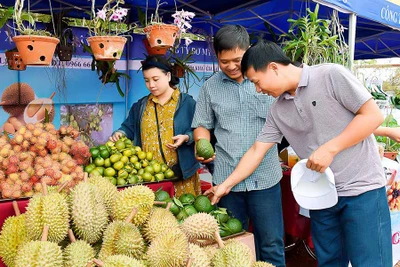 Quảng bá sản phẩm OCOP trên sàn thương mại điện tử Gia Lai: Thỏa mãn cung-cầu