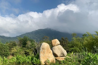 Lên M'Drắk thăm Đặng Lê Nguyên Vũ: 30 ngày thử thách ở 'địa ngục'