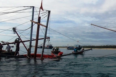 Tàu câu mực bị tàu lạ đâm chìm, 2 ngư dân bị thương và 1 người mất tích