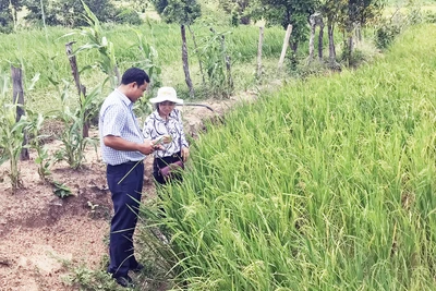 Phú Thiện: Chủ động triển khai nhiệm vụ từ đầu nhiệm kỳ