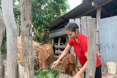 Tự nguyện xin ra khỏi danh sách hộ nghèo: Tự trọng và khát vọng vươn lên