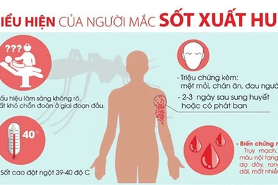 Khuyến cáo không chủ quan với dịch sốt xuất huyết