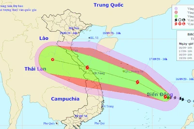 Bão số 5 có thể mạnh cấp 12, giật cấp 14, sẵn sàng sơ tán dân