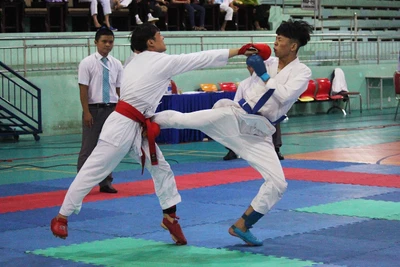 Giải vô địch Karate tỉnh Gia Lai: Chuyên nghiệp, hấp dẫn