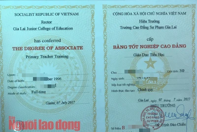 Đau lòng học Cao đẳng sư phạm, không được tuyển dụng giáo viên tiểu học