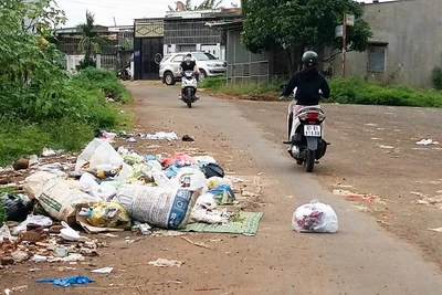 Pleiku: Rác tràn lan trên đường Lý Chính Thắng