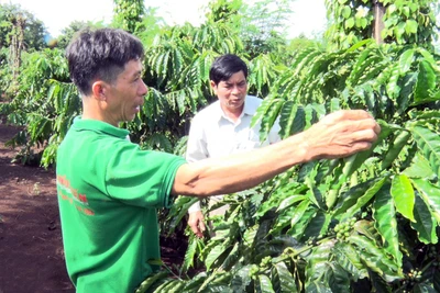 Chư Pưh: Sôi nổi các phong trào thi đua yêu nước