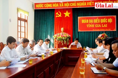 Hội nghị trực tuyến đại biểu Quốc hội hoạt động chuyên trách thảo luận dự án Luật Tổ chức chính quyền địa phương