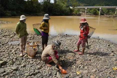 Đầu năm đã lo chống hạn