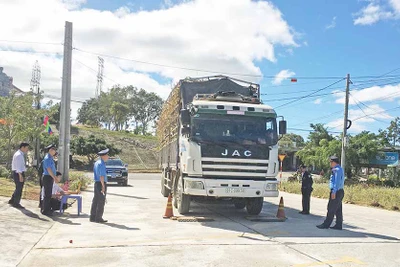 Quyết liệt ngăn chặn xe quá khổ, quá tải trên địa bàn Gia Lai