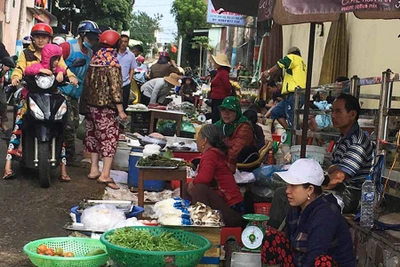 Giá thực phẩm trên địa bàn TP. Pleiku "hạ nhiệt"