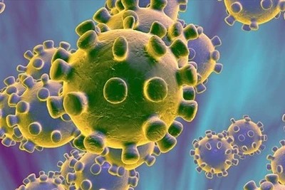 Sử dụng điều hòa ôtô đúng cách để hạn chế virus lọt vào