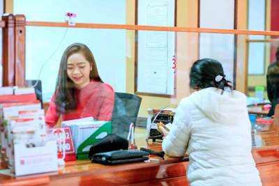 Agribank Gia Lai vẫn mở cửa giao dịch ngày 30 Tết