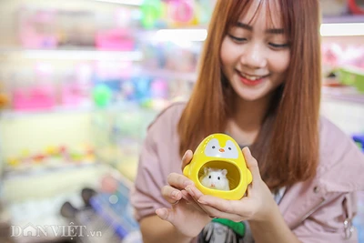 Hình ảnh chuột hamster bất ngờ đắt khách mua dịp Tết Canh Tý