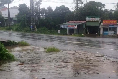 Pleiku: Nam thanh niên tử vong bên lề đường do tai nạn giao thông