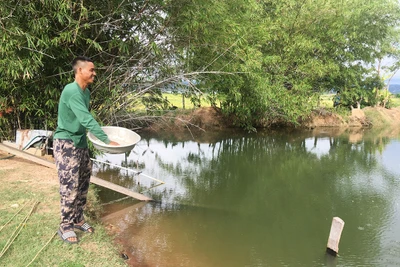 "Bà đỡ" của nông dân Chư Răng