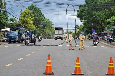 Pleiku: Xe đầu kéo làm đứt dây điện hạ thế rồi bỏ chạy