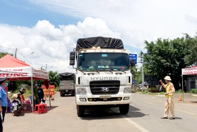 Gia Lai hướng dẫn lưu thông hàng hóa, kinh doanh dịch vụ khi thực hiện giãn cách xã hội