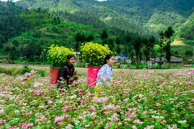 Nhiều điểm du lịch mở cửa đón du khách