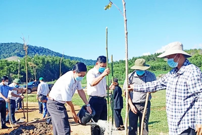 Trồng cây "Đời đời nhớ ơn Bác Hồ" tại huyện Kbang