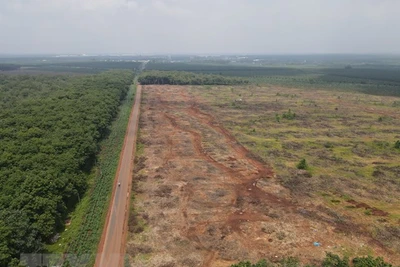 Dự án sân bay Long Thành: Chưa thể chi trả tiền bồi thường vì COVID-19