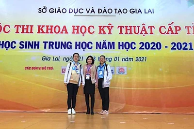 Nuôi trồng nấm bào ngư xám trên mùn cưa