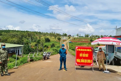 Pleiku đề nghị hỗ trợ người dân sản xuất nông nghiệp ở vùng giáp ranh