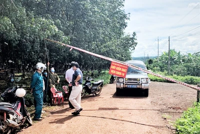 Chư Sê: Gỡ bỏ khoanh vùng tạm thời làng Blút Roh, xã Al Bá