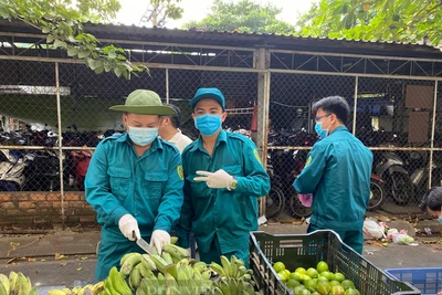 Sài Gòn trong tôi: Màu áo xanh của dân quân tự vệ