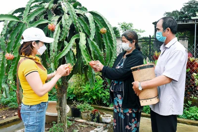 Người dân làng Bruk Ngol chăm lo phát triển kinh tế