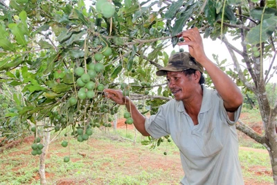 Bất ổn các dự án ổn định dân cư: Cần lắng nghe, đáp ứng nguyện vọng của dân