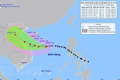 Bão số 5 gây mưa rất to tại Trung Bộ, các địa phương sẵn sàng ứng phó