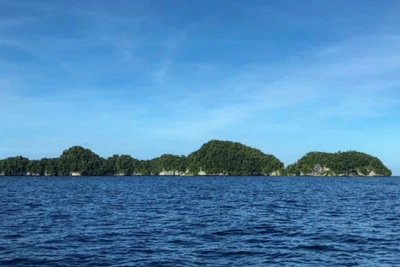 Palau bắt tàu cá Trung Quốc đánh bắt bất hợp pháp