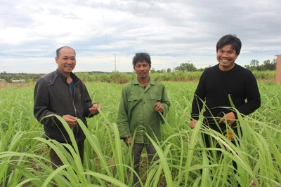 Giảm nghèo bền vững: Động lực phát triển kinh tế-xã hội