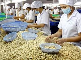 Gia Lai: Kim ngạch xuất-nhập khẩu tăng 5,1%