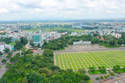 Cảm thức Pleiku