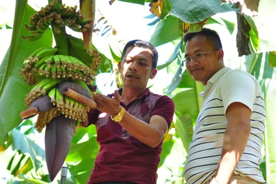 Khơi dậy tinh thần vươn lên thoát nghèo (bài 2): Liên kết, đưa vùng nghèo phát triển