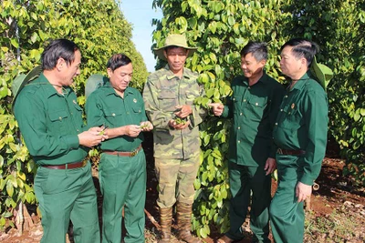 Hội Cựu chiến binh tỉnh Gia Lai: Trung thành, đoàn kết, gương mẫu, đổi mới